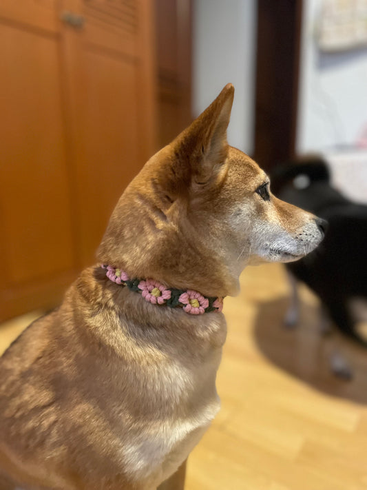 Collar para mascota mediano flores rosa